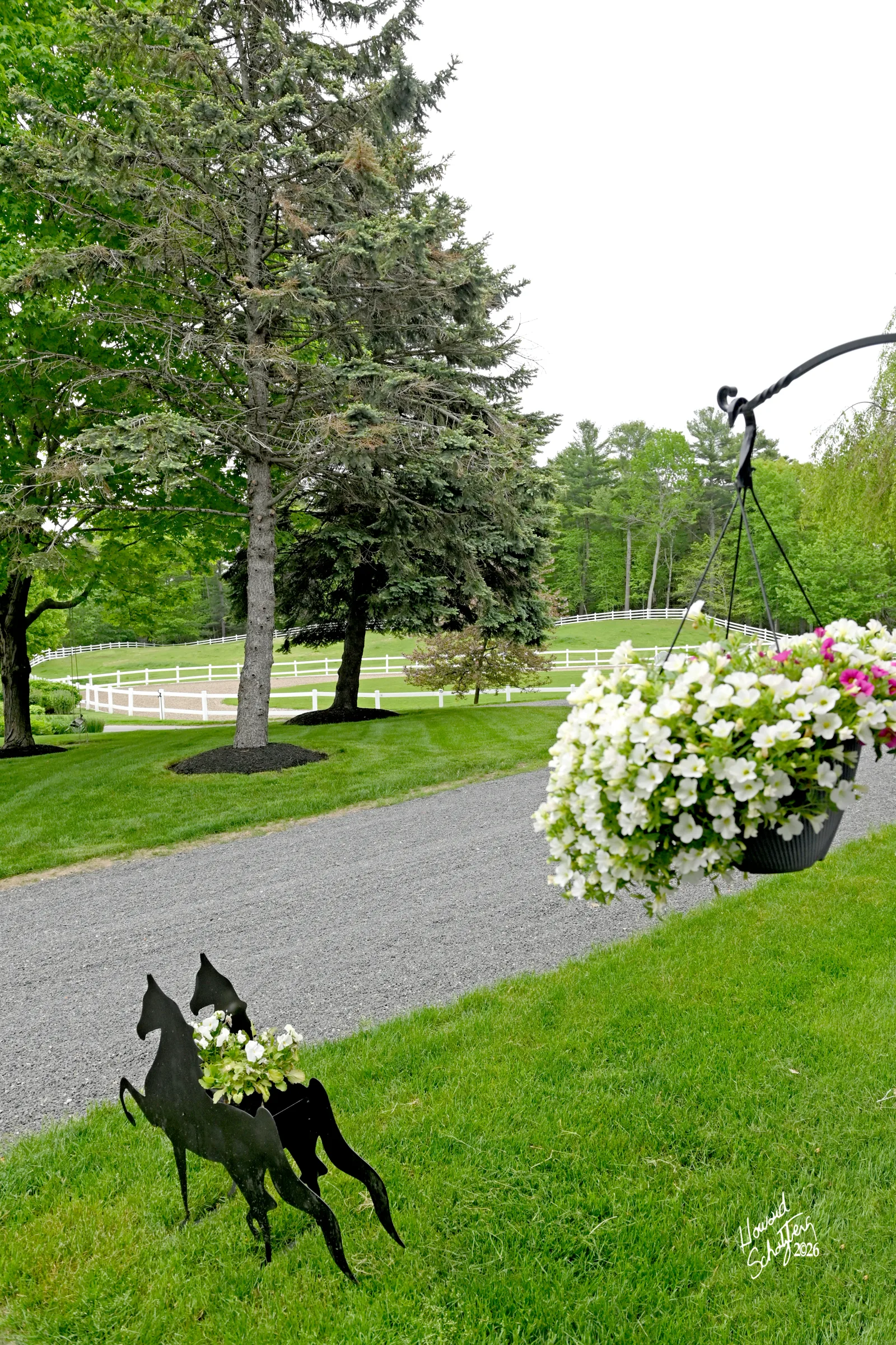 Landscaped entrance overlooking the outdoor ring at Rand Stables