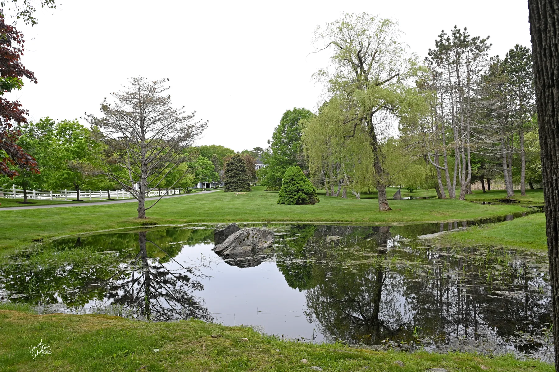Pond and mature trees on the Rand Stables property