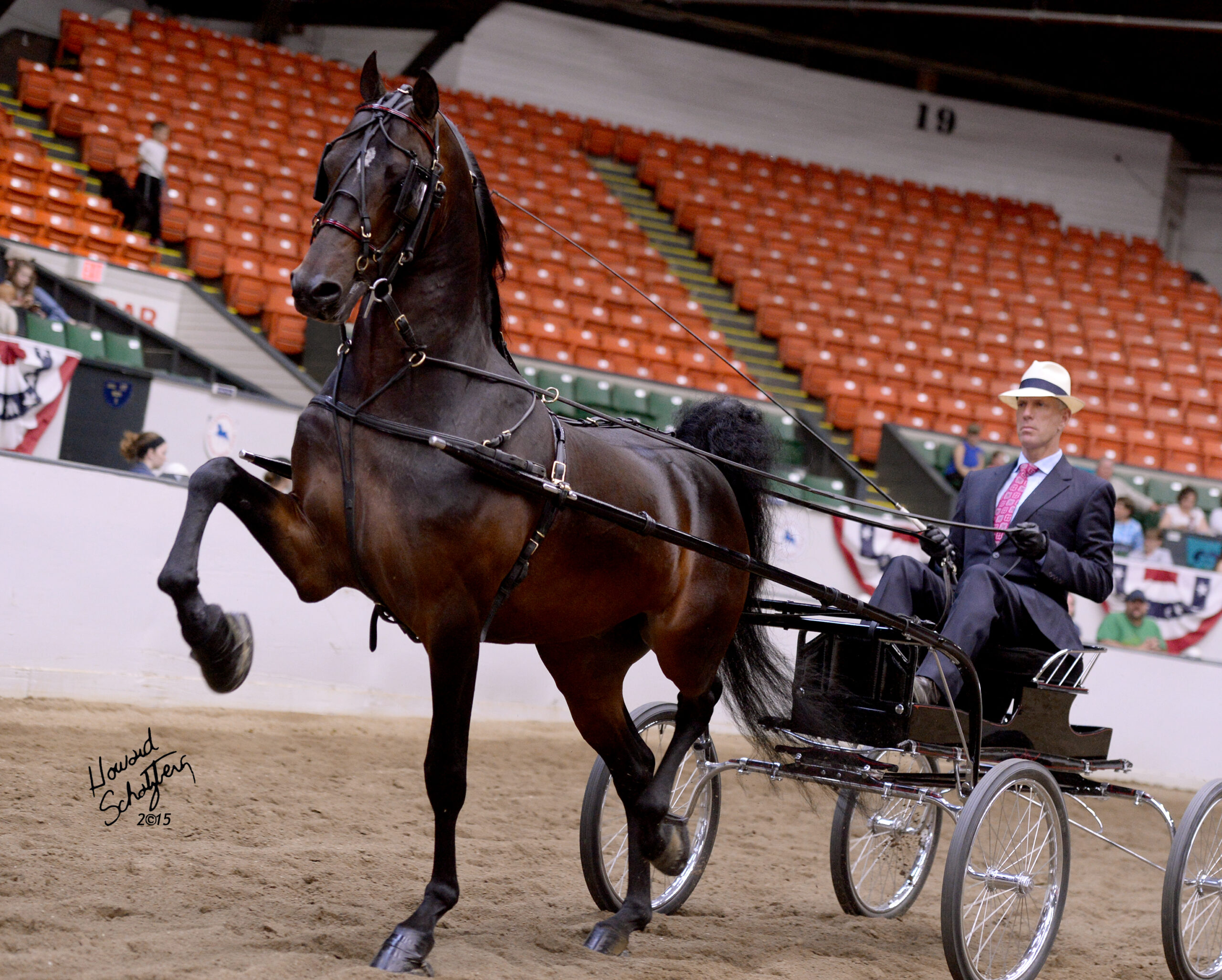 David Rand — Morgan horse trainer at Rand Stables, York Maine