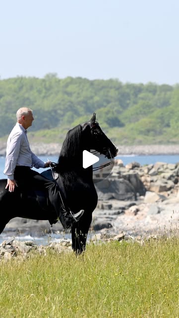 David Rand riding a black Morgan stallion beside the rocky Maine coast